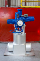 Crane-Web-5