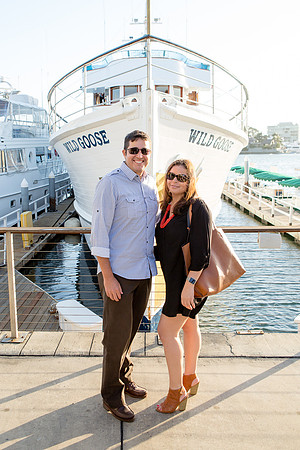 Wild Goose Hornblower-12