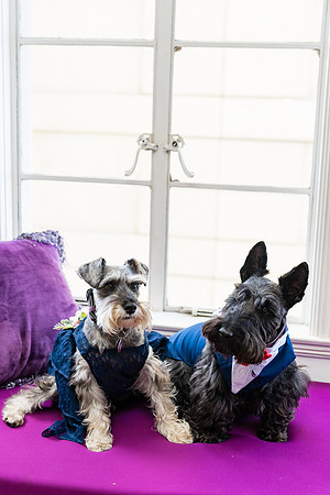 Wedding Photographer Long Beach -123