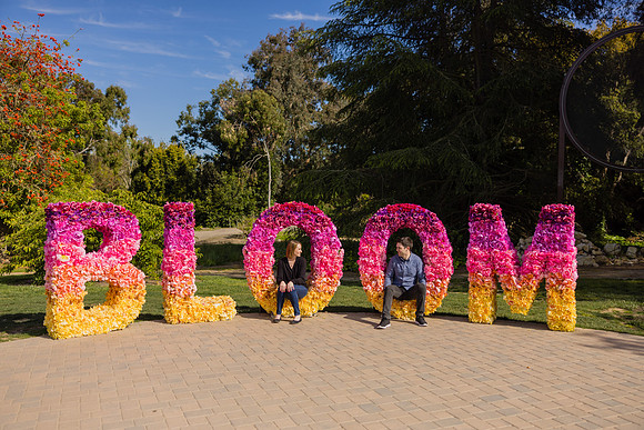 Engagement Photos South Coast Botanic Garden-115