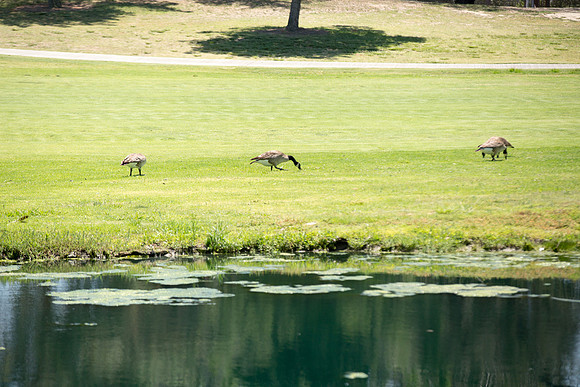 Lakewood Youth Golf-193