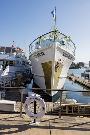 Wild Goose Wedding Photos - City Cruises Newport Beach C-152