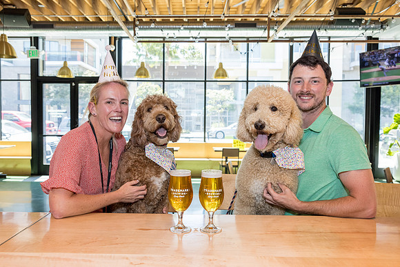 Pet Photographer Long Beach  - Trademark Brewing -063