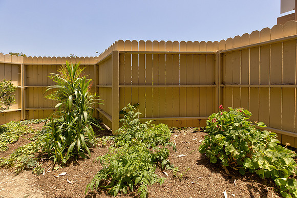 11311 La Mirada Exterior-36