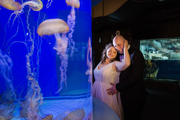 Acquarium of the Pacific Wedding-16