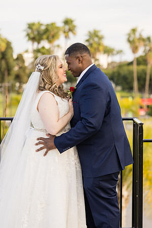 The Reef Sunset Wedding - David England Photography-424