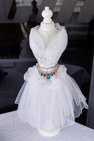 Icon Yacht Wedding - City Experiences Wedding-45