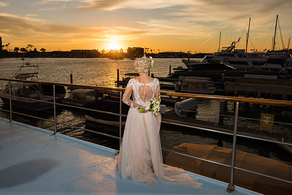 Wild Goose - City Experiences By Hornblower-101
