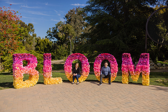 Engagement Photos South Coast Botanic Garden-113