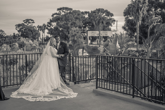 The Reef Sunset Wedding - David England Photography-414