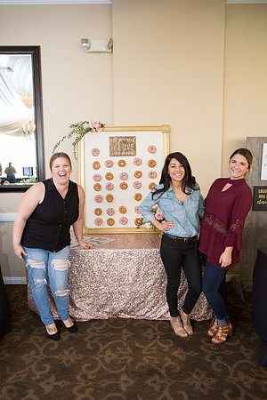 Wedding Show Weekend 2017-48