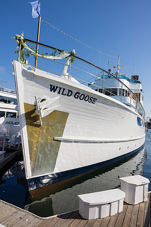 Wild Goose Wedding Photos - City Cruises Newport Beach C-149