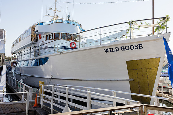 Wild Goose Wedding Photos - City Cruises Newport Beach C-136