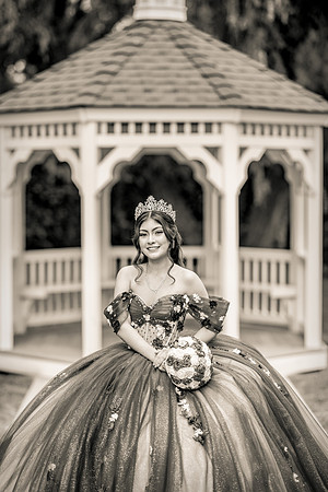 Sweet 16 Birthday Photos - Lindley-Scott House Azuza Ca-036