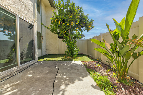 Back Yard 2