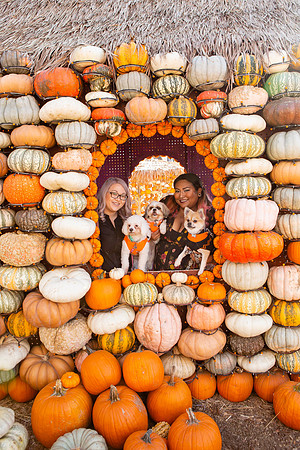 Mr. Bones Culver City Halloween Photographer-27