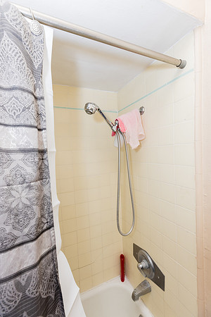 432 W Palm St-048