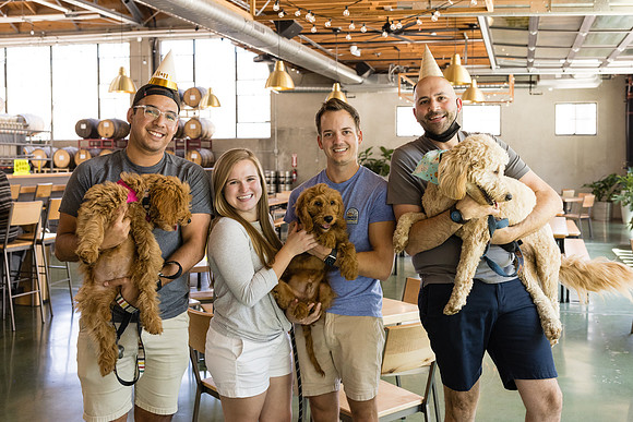Pet Photographer Long Beach  - Trademark Brewing -136