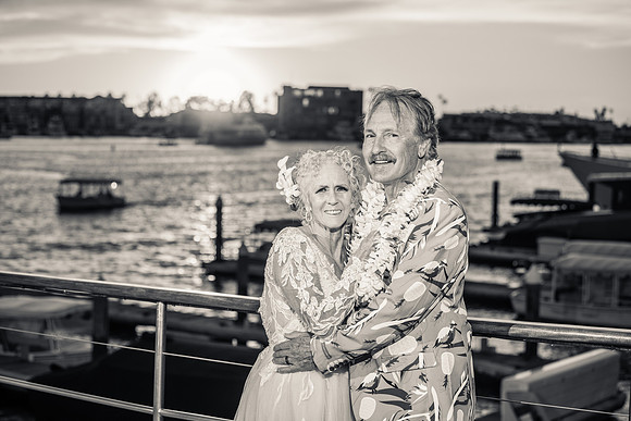 Wild Goose - City Experiences By Hornblower-105