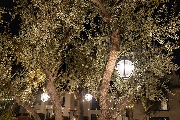 Horatio Alger Events Palm Springs 2025-10