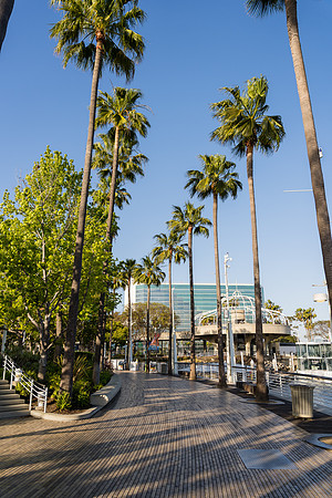 SSA Long Beach - David England Photography-027