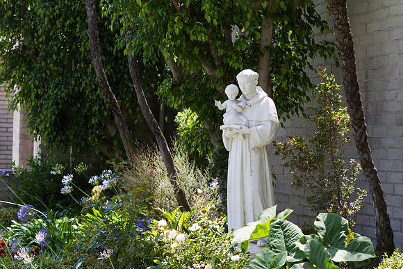 David and Aymet Cam 1-90