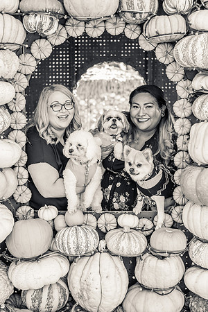 Mr. Bones Culver City Halloween Photographer-35