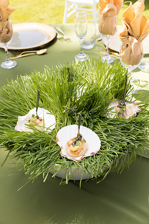David England Photography-044