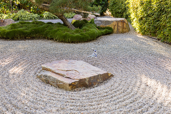 Earl Burns Miller Japanese Garden Surprise Engagement Proposal-001