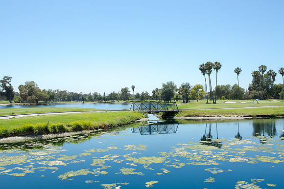 Lakewood Youth Golf-202