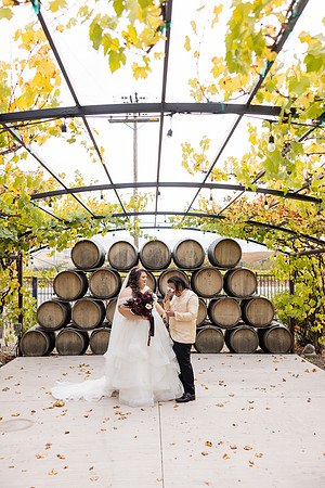 Wedding Photos Del Valle Winery Livermore Ca-149