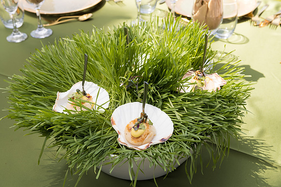 David England Photography-045