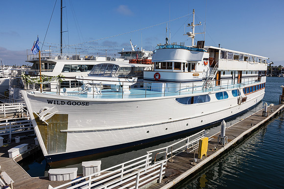 Wild Goose Wedding Photos - City Cruises Newport Beach C-146