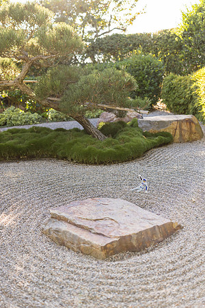 Earl Burns Miller Japanese Garden Surprise Engagement Proposal-002