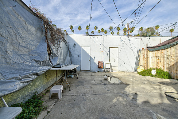 Back yard 1