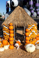 Mr. Bones Culver City Halloween Photographer-6