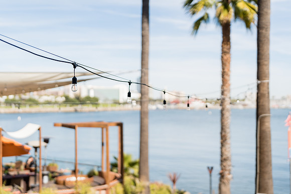 The Reef Sunset Wedding - David England Photography-025