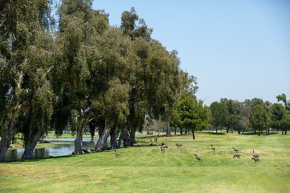 Lakewood Youth Golf-194