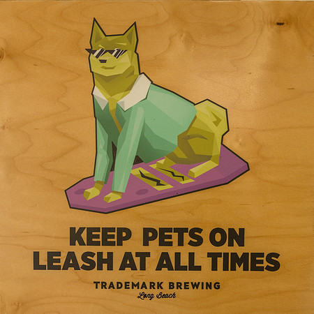 Pet Photographer Long Beach  - Trademark Brewing -081