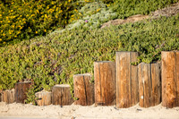 David England Photography-002
