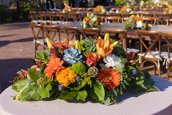 Kings Hawaiia - David England Photography-585