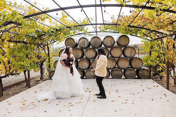 Wedding Photos Del Valle Winery Livermore Ca-134