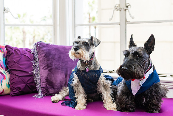 Wedding Photographer Long Beach -125