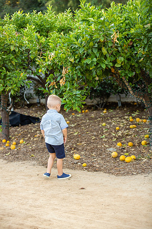 Arroyo Trabuco Golf Club-90