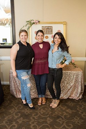 Wedding Show Weekend 2017-47