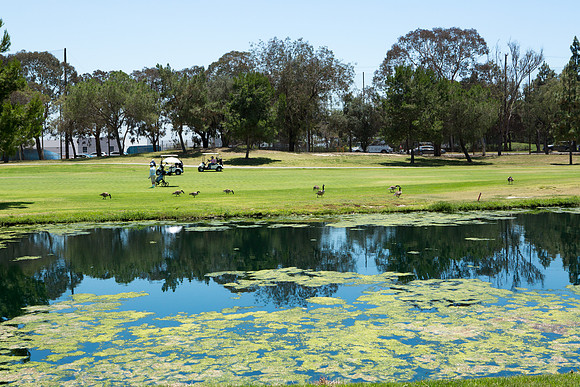 Lakewood Youth Golf-192