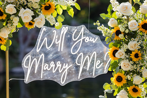 Earl Burns Miller Japanese Garden Surprise Engagement Proposal-008