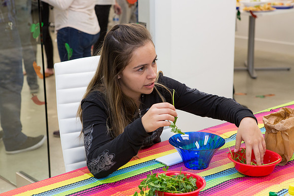 Uniregistry Salsa Contest 2017-88