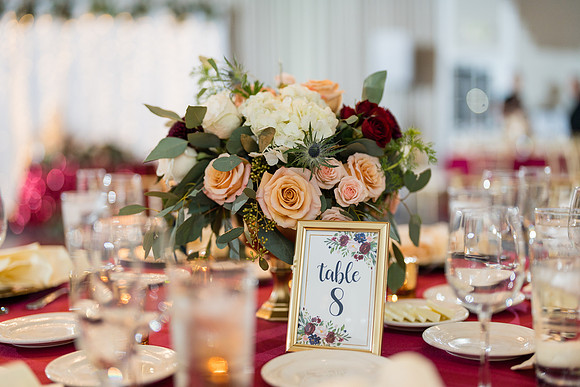 The Reef Sunset Wedding - David England Photography-662