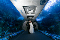 Maryann & Byron - Aquarium of the Pacific